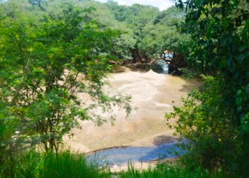 Estiagem já afeta rios e arroios da cidade 5 Estiagem já afeta rios e arroios da cidade