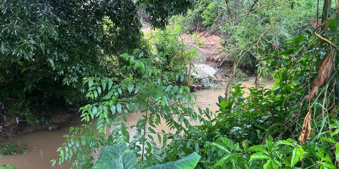 Corpo é encontrado em arroio no bairro Rio Branco, em Campo Bom