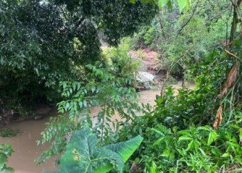 Corpo é encontrado em arroio no bairro Rio Branco, em Campo Bom 5 Corpo é encontrado em arroio no bairro Rio Branco, em Campo Bom