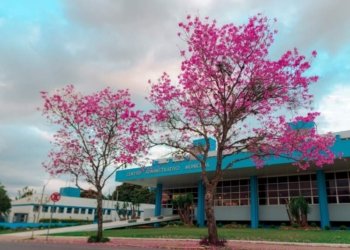 Inscrições para estágio na Prefeitura vão até 7 de março e incluem vagas para pós-graduação 6 Inscrições para estágio na Prefeitura vão até 7 de março e incluem vagas para pós-graduação