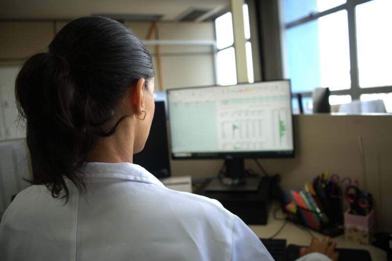 Prefeitura de Campo Bom abre inscrições para estágio na Vigilância Epidemiológica 1 Prefeitura de Campo Bom abre inscrições para estágio na Vigilância Epidemiológica