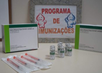 Vacinação contra a gripe inicia nesta quarta-feira em Campo Bom 2 Vacinação contra a gripe inicia nesta quarta-feira em Campo Bom