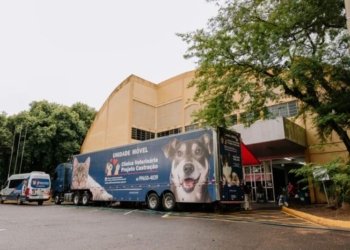 Campo Bom realiza a maior ação de castração de animais neste final de semana