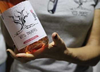 Vitis Insanis – Vinhos Desgarrados: conheça a história da vinícola taquarense