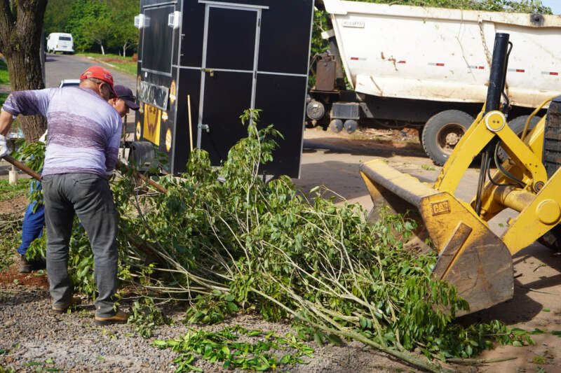 Prefeitura alerta para prazos da coleta de podas e reforça penalidade para descarte irregular