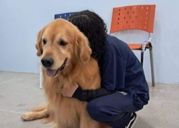 Cãoterapia leva afeto e cuidado ao CAPS de Campo Bom