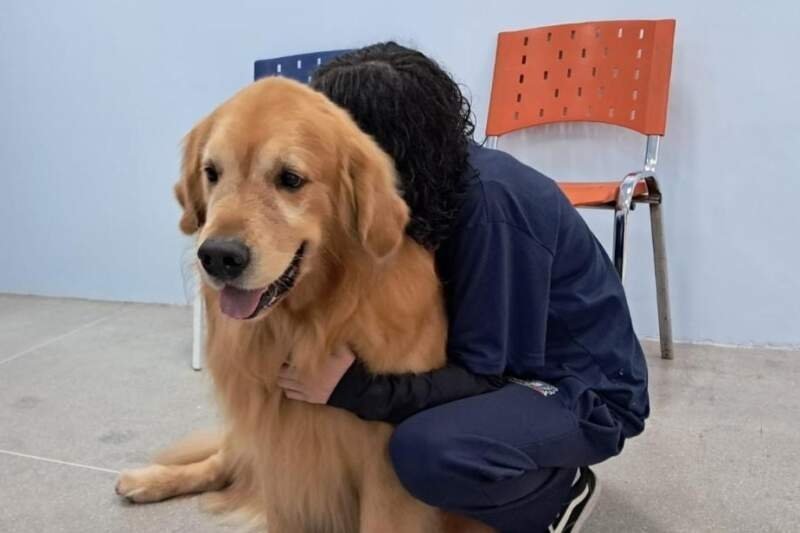 Cãoterapia leva afeto e cuidado ao CAPS de Campo Bom 1 Cãoterapia leva afeto e cuidado ao CAPS de Campo Bom