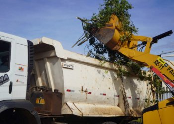 Recolhimento de podas segue cronograma em mais seis bairros entre 15 e 20 de julho
