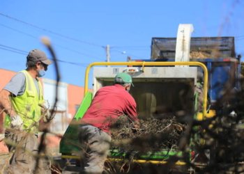 Recolhimento de podas chega aos bairros Centro (sul) e Celeste