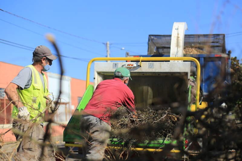 Recolhimento de podas chega aos bairros Centro (sul) e Celeste 1 Recolhimento de podas chega aos bairros Centro (sul) e Celeste
