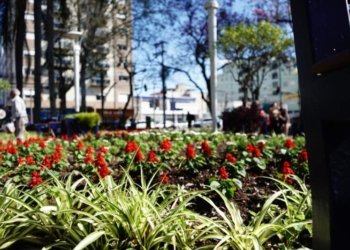 Campo Bom terá nova estratégia de embelezamento urbano 1 Campo Bom terá nova estratégia de embelezamento urbano