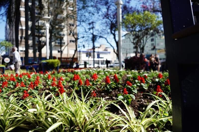 Campo Bom terá nova estratégia de embelezamento urbano