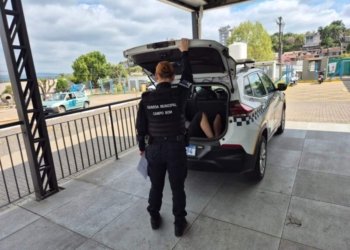 Guarda Municipal prendeu homem por porte ilegal de arma no bairro Industrial Norte