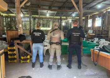 Operação conjunta fecha rinha de galos e prende organizador em Campo Bom