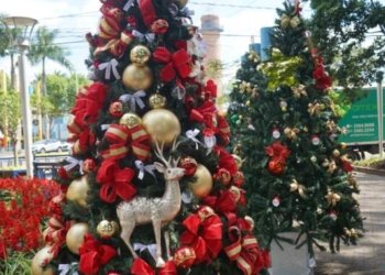 Praça João Blos recebe dezenas de árvores de Natal em parceria entre Prefeitura, Eintracht e CDL Jovem 3 Praça João Blos recebe dezenas de árvores de Natal em parceria entre Prefeitura, Eintracht e CDL Jovem