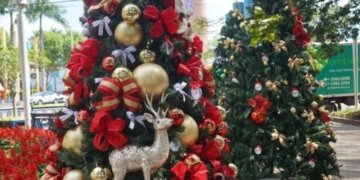 Praça João Blos recebe dezenas de árvores de Natal em parceria entre Prefeitura, Eintracht e CDL Jovem 4 Praça João Blos recebe dezenas de árvores de Natal em parceria entre Prefeitura, Eintracht e CDL Jovem