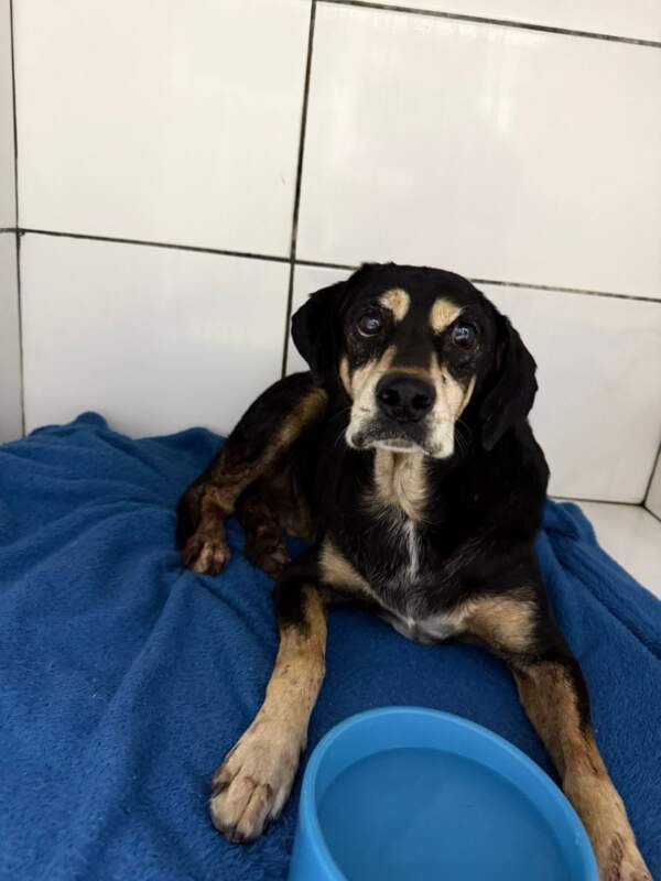 1cf255af 5b8a 4e59 9668 6bbae0a8eb69