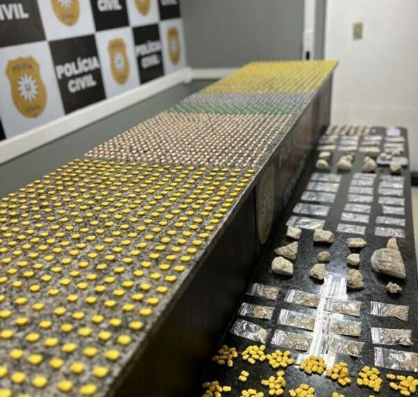 Polícia Civil apreende grande quantidade de drogas sintéticas em ação do Denarc em Campo Bom