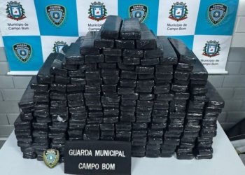 Guarda Municipal apreende cerca de 100 kg de maconha