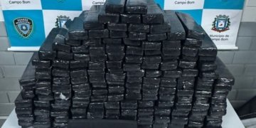 Guarda Municipal apreende cerca de 100 kg de maconha
