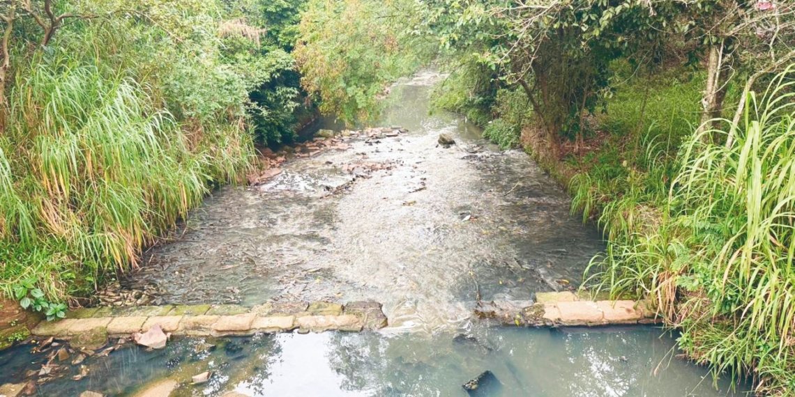 Pesquisadora realiza estudo da poluição por microplásticos no solo de áreas públicas do município