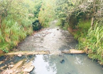 Pesquisadora realiza estudo da poluição por microplásticos no solo de áreas públicas do município