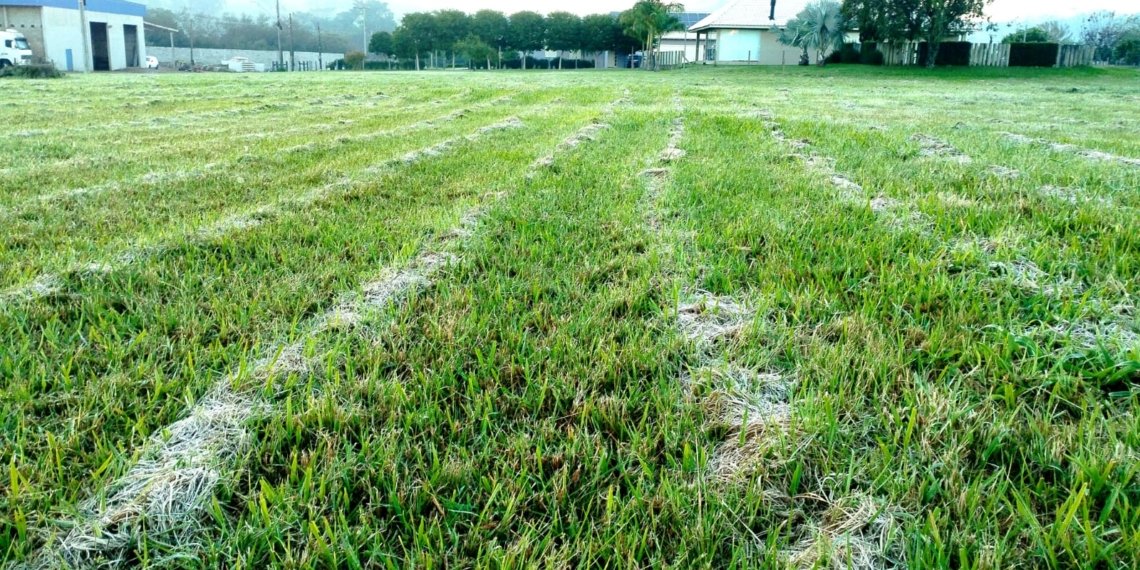 Campo Bom registra primeira geada de 2026