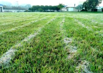 Campo Bom registra primeira geada de 2026
