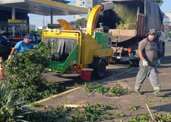 Recolhimento de podas nos bairros Cohab Leste e Jardim do Sol inicia nesta terça-feira