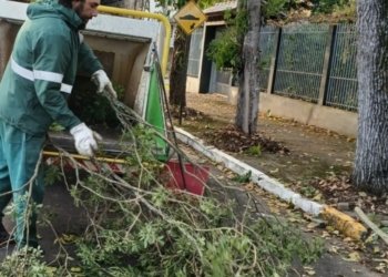 Quatro Colônias e Vila Brito recebem coleta de podas até o dia 10 de julho