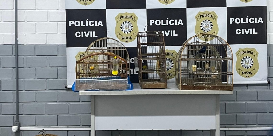 Polícia Civil apreende sete aves silvestres mantidas em cativeiro ilegal em Campo Bom