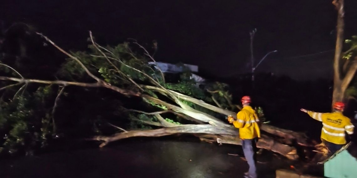 Bombeiros atendem cerca de 12 ocorrências durante temporal em Campo Bom