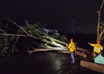 Bombeiros atendem cerca de 12 ocorrências durante temporal em Campo Bom