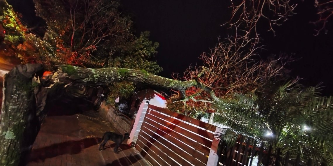 Rajadas podem ter ultrapassado 90 km/h em alguns pontos de Campo Bom, aponta meteorologista