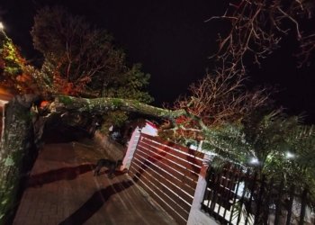 Rajadas podem ter ultrapassado 90 km/h em alguns pontos de Campo Bom, aponta meteorologista