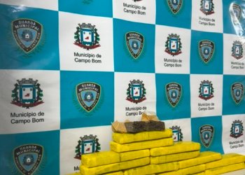 Guarda Municipal apreende mais de 11kg de maconha em depósito de drogas no bairro Paulista
