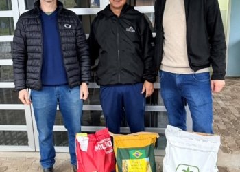 Emater de Campo Bom distribui sementes de milho a agricultores familiares locais
