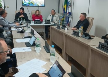 Financiamento de R$ 94,9 milhões para duplicação da Avenida Brasil é aprovado na Câmara