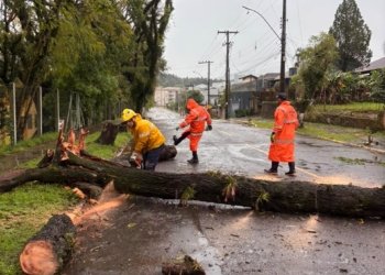 Cerca de 50 casas foram destelhadas em Campo Bom