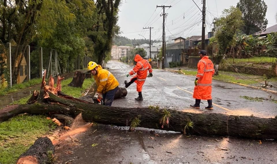 Cerca de 50 casas foram destelhadas em Campo Bom
