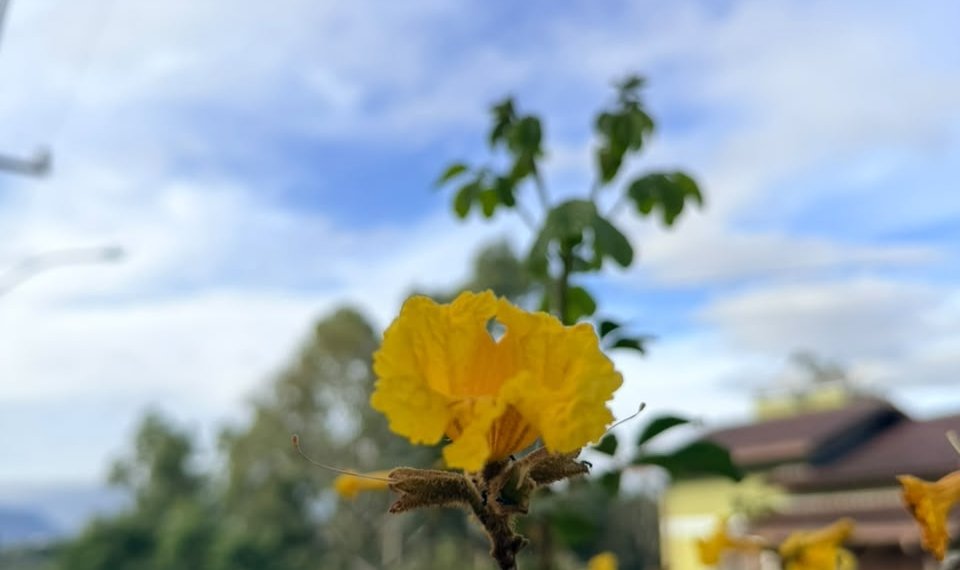 Primavera chega a Campo Bom com chuva e mudanças de temperatura no radar